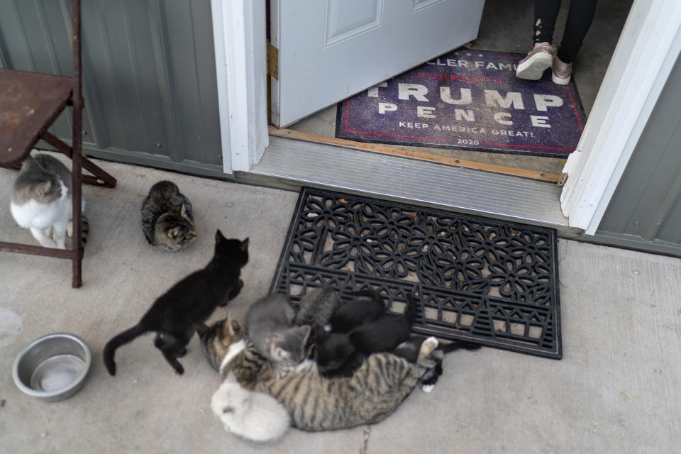 A mother cat nurses her kittens as as a child walks across a Trump doormat at the home of Scott Miller in Baldwin, Wis., Friday, Sept. 30, 2022. In a picturesque corner of western Wisconsin, a growing right-wing conservative movement has rocketed to prominence. They see America as a country where the most basic beliefs, in faith, family, liberty, are threatened. (AP Photo/David Goldman)