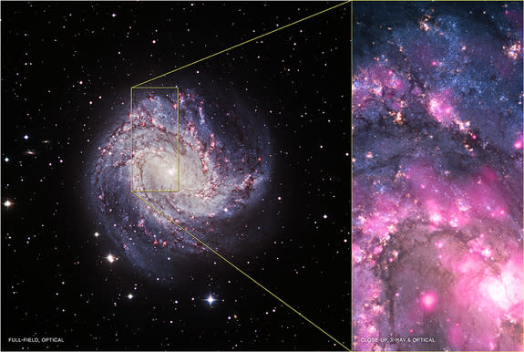 At left is an optical view of M83. At right is a composite image showing X-ray data from Chandra in pink and optical data from the Hubble Space Telescope in blue and yellow. The ULX is located near the bottom of the composite image.