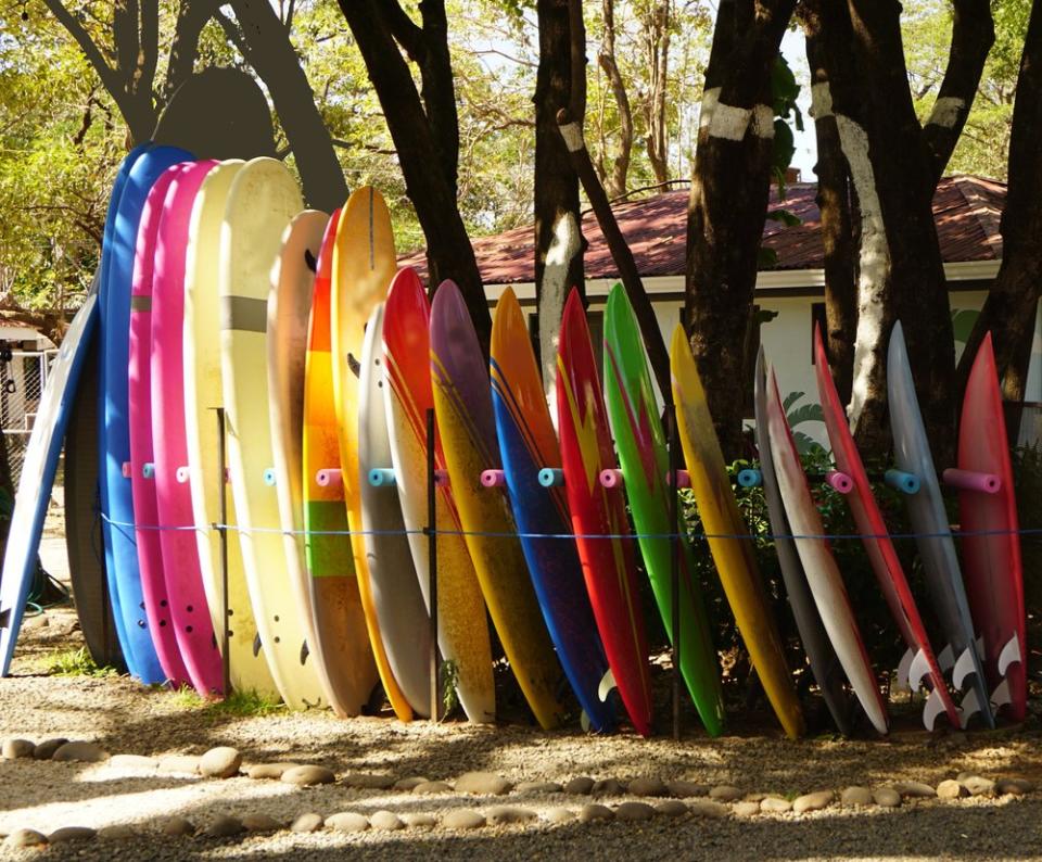 surfboards lined up
