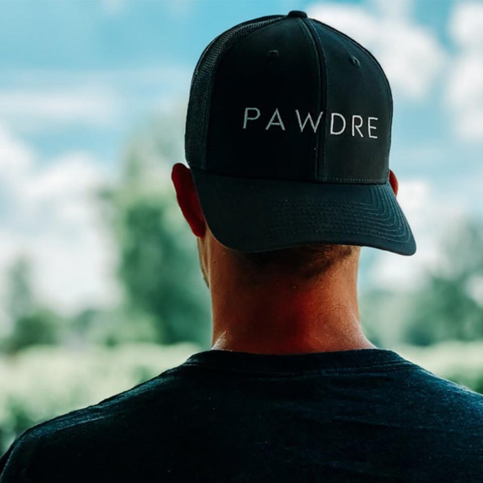 pawdre dog dad baseball hat