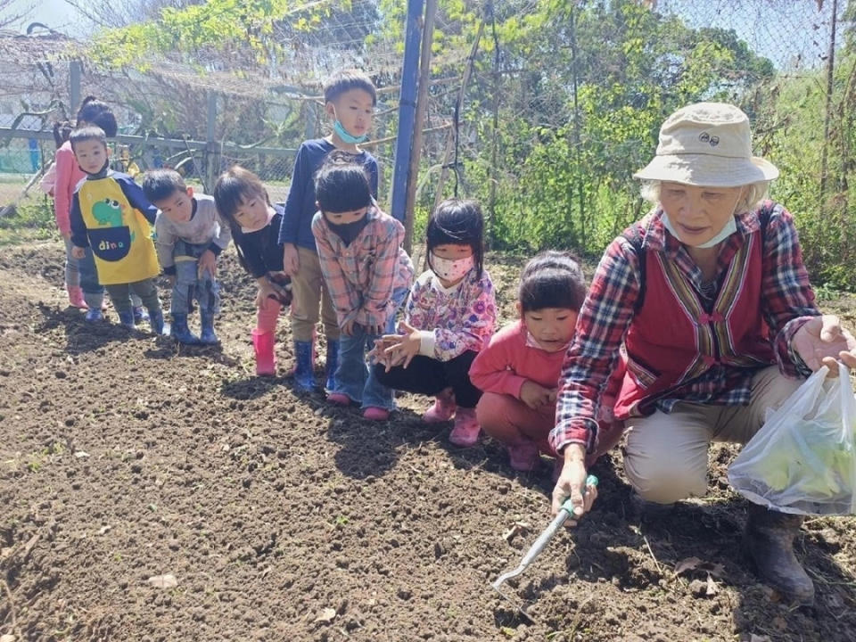 臺東縣忠孝國小附幼於春耕季節學習mikarkar(挖土種植)