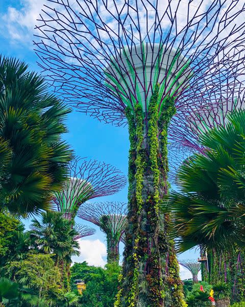 1) Gardens by the Bay, Singapore