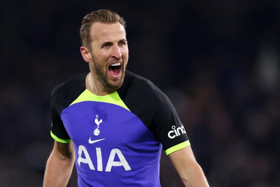 On the brink: Harry Kane will almost certainly become Tottenham’s record goalscorer in the coming weeks (Tottenham Hotspur FC via Getty Images)