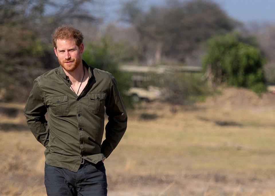 Prince Harry