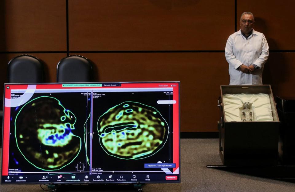 X-rays of the specimens were also shown during the hearing, with experts testifying under oath that one of the bodies is seen to have “eggs” inside (Reuters)