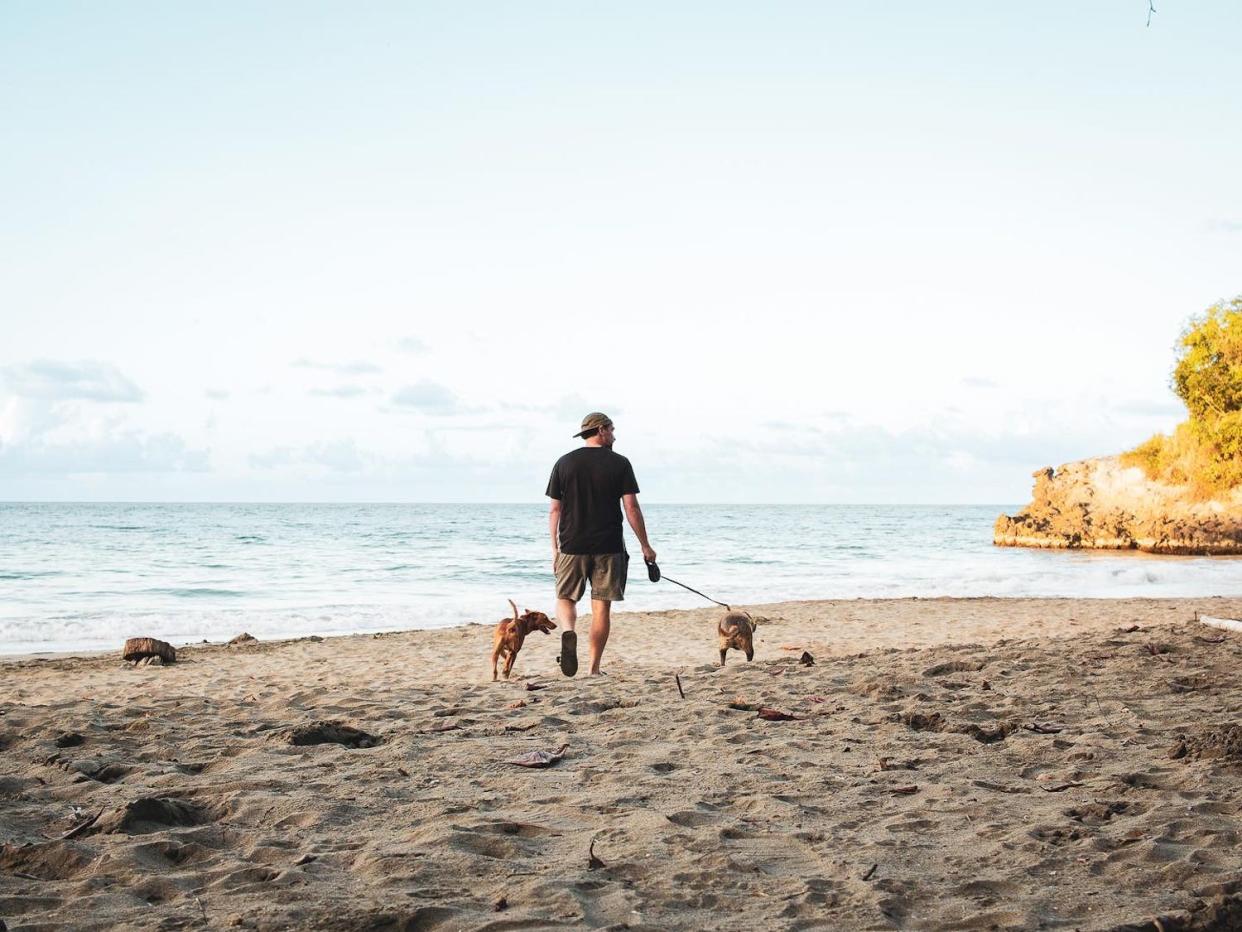 The couple on a walk with a dog.