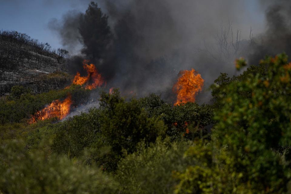  (AFP via Getty Images)