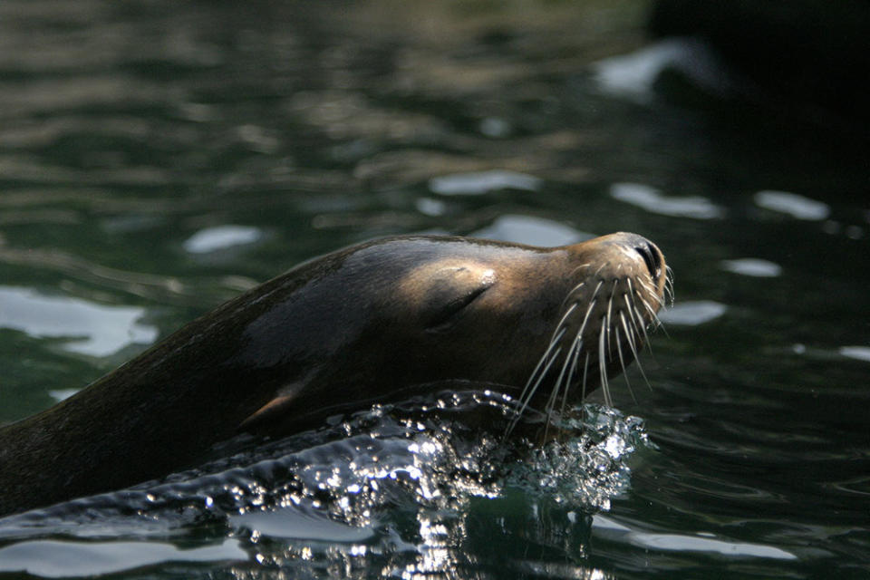 紐約中央公園（Image Source : REUTERS/Jamie Fine）