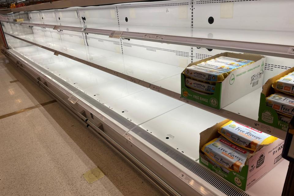 Near-empty egg shelves at Coles supermarket