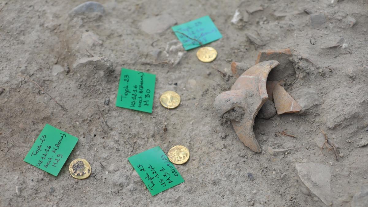 Buried treasure of 44 Byzantine gold coins found in nature reserve in  Israel