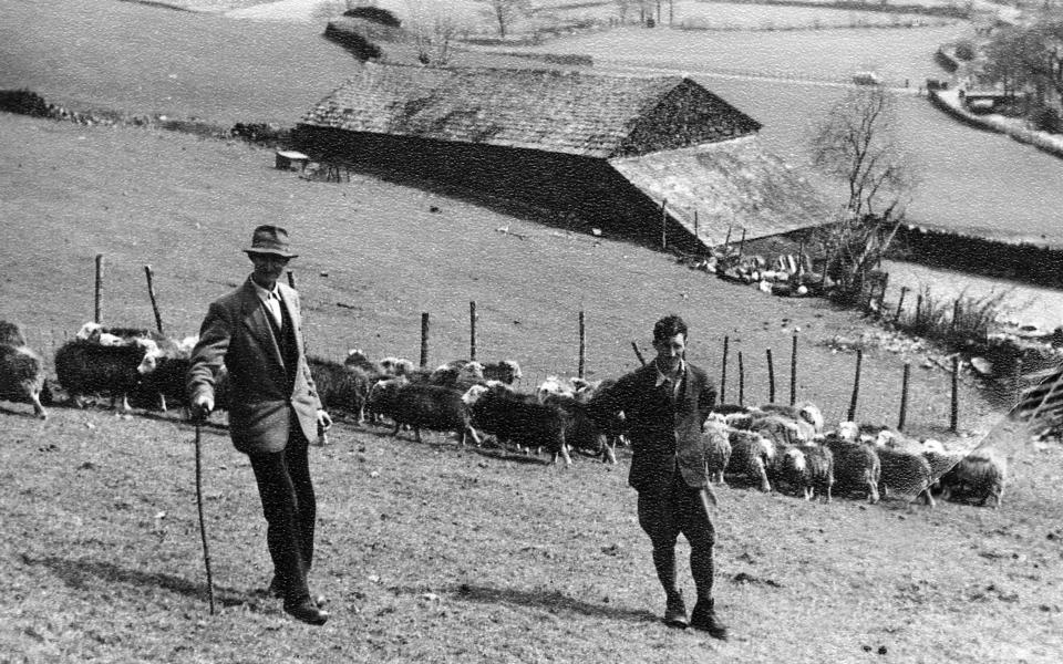 The man rescuing sheep on Beatrix Potter's favourite Lake District fells