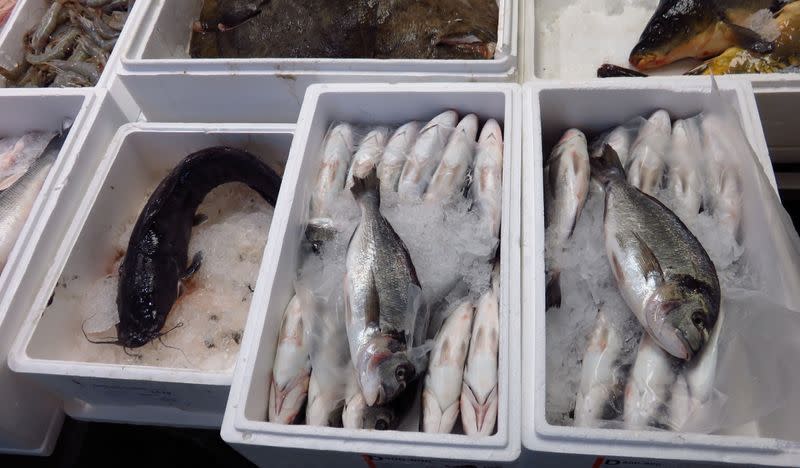 Fish is seen on display at Billingsgate Market in London