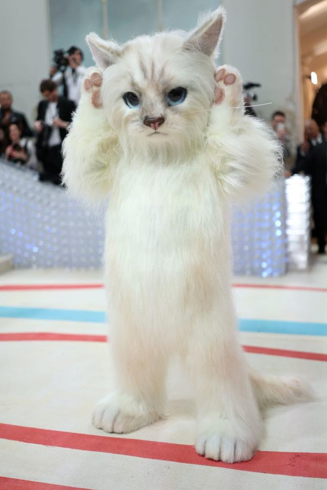 Karl Lagerfeld's cat Choupette was unimpressed by Jared Leto's Met Gala  costume