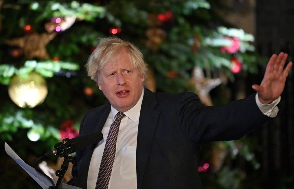 Boris Johnson by the Christmas tree outside 10 Downing Street (Justin Tallis/PA) (PA Wire)