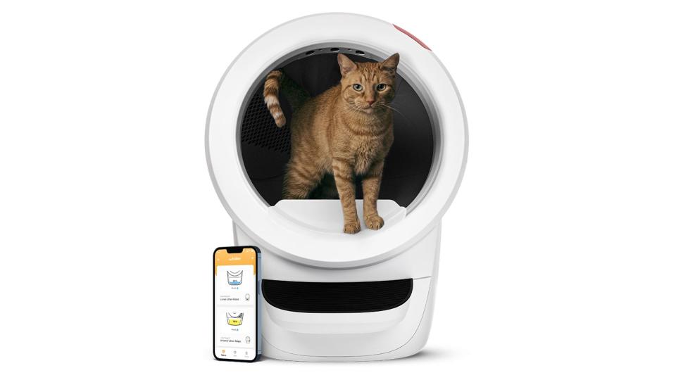 Best Self Cleaning Litter Boxes