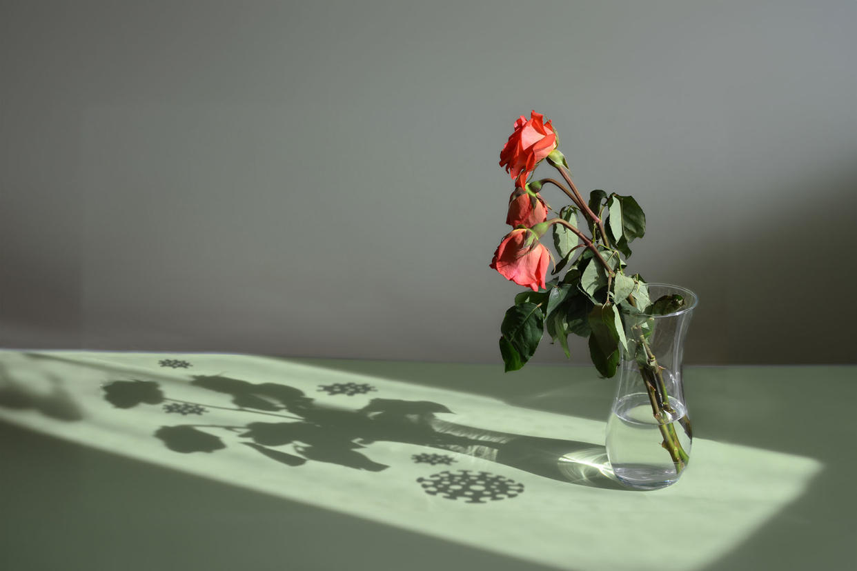 Wilted flowers and COVID virus shadows Photo illustration by Salon/Getty Images