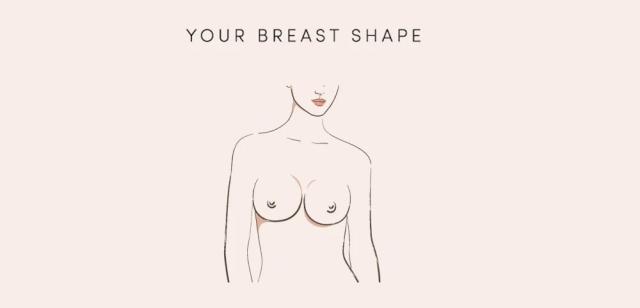 Woman's Day on X: There Are 7 Different Types of Boobs in the