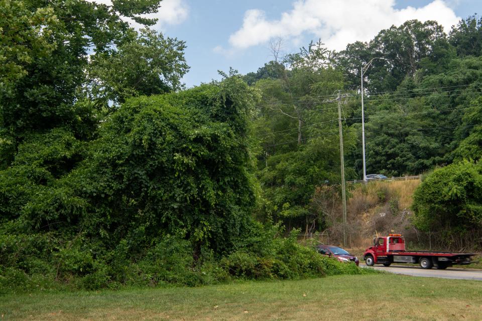 A new public park is planned for Riverside Drive on a 2-acre parcel along the French Broad River,