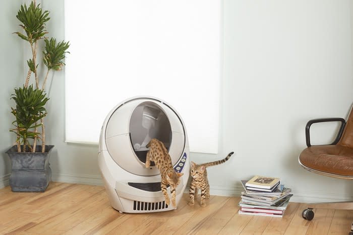 Litter Robot Open Air