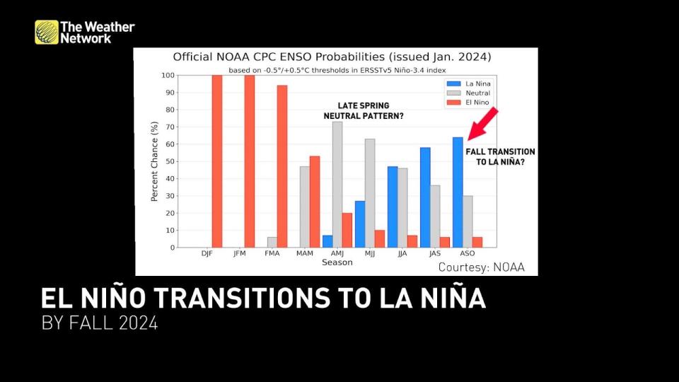 ENSO Forecast January 2024