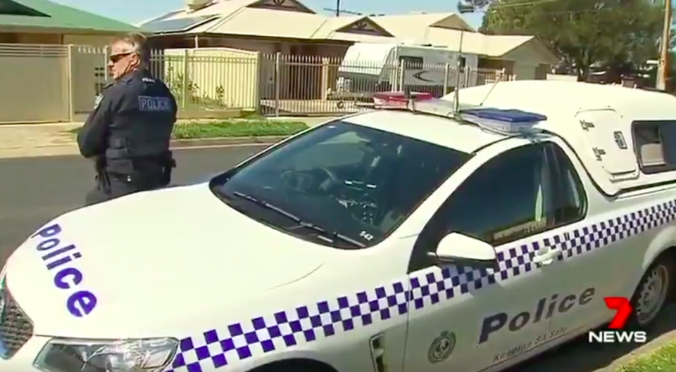 A woman was allegedly sexually assaulted in broad daylight by an intruder who has since been arrested. Source: 7 News