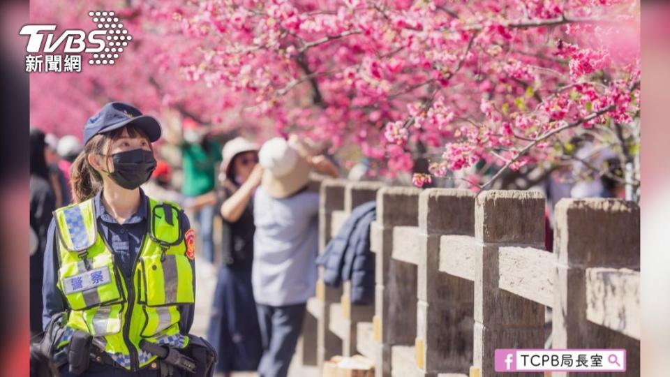 看櫻花 看警花 都請排隊 遵守行車規則/TCPB局長室