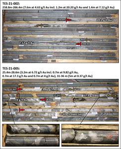 Core Photos of TES-21-002 (New Discovery) and TES-21-005 (Main Showing)