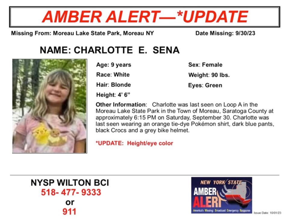 Missing poster for Charlotte Sena (NYSP)