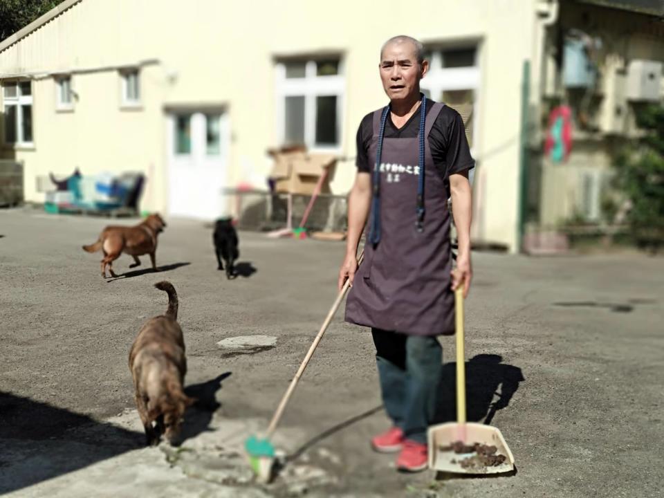 牽狗散步、餵食、清掃屎便是日常培養感情第一步，彭昭左甘之如飴。   圖：新北市動物處提供