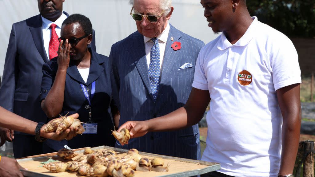 king charles iii and queen camilla visit kenya day 1