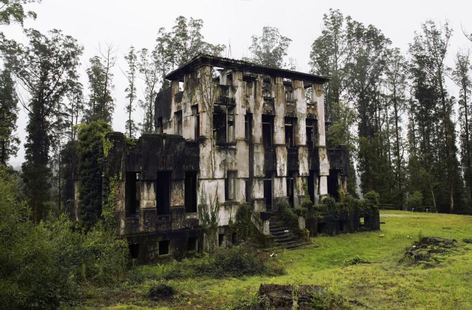 <p>Mother Nature reclaims the charred shell of a former sanitarium.</p>