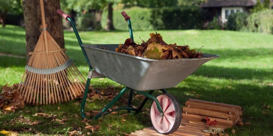 15 Tasks Landscapers Say You Should Do in Your Yard Every Fall