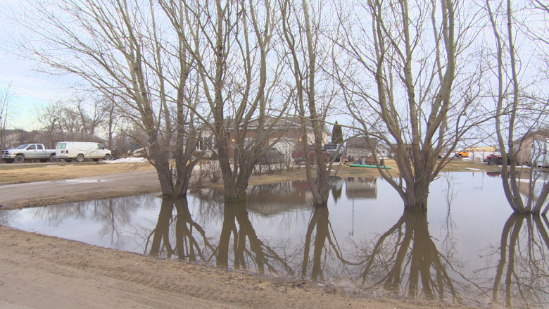 'Water, water everywhere': Neighbours call on city to fix culvert overflow in St. Boniface