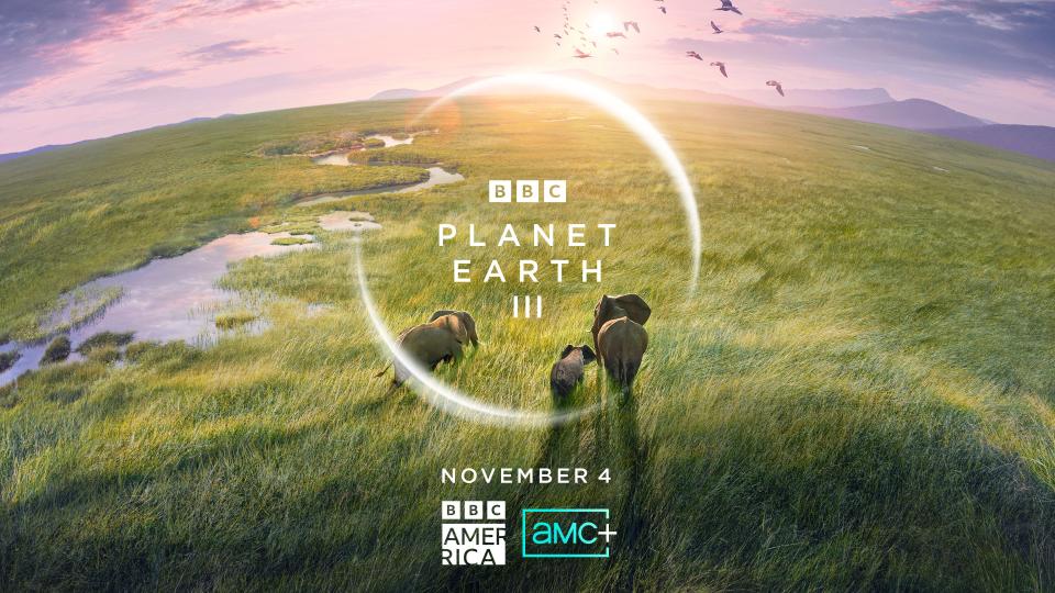 November 4 - Planet Earth III - Photo Credit: BBCA/BBC STUDIOS/AMC+