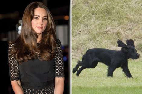 Kate Middleton and Luppo