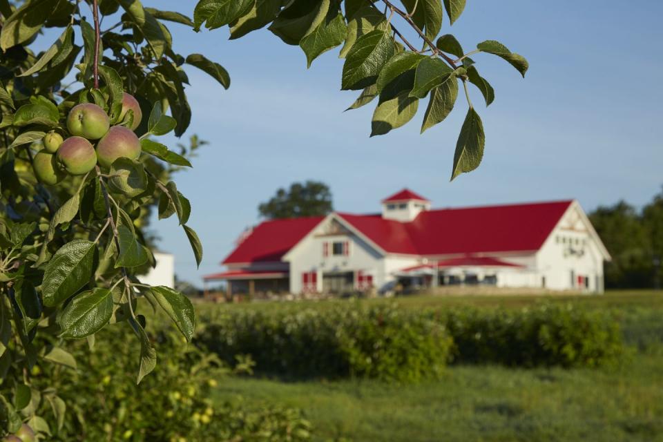 12) Applecrest Farm Orchard in Hampton Falls, New Hampshire