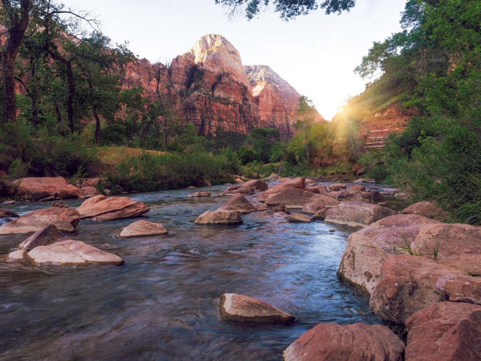 Rocks in a river surrounded by trees and red-rock formations in Zion National Park.