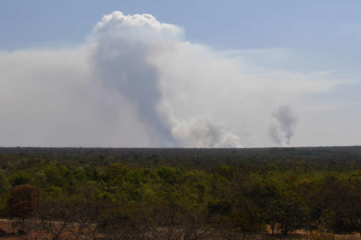 This photograph taken on September 5, 2022 shows a cloud of smoke during a wildfire in Brasilia National Park located in the northwest of the Federal District. (Photo by EVARISTO SA / AFP)