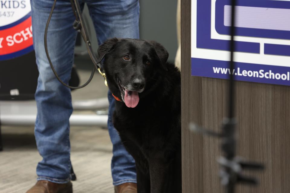 Stassi, a weapons-sniffing dog, attends a press conference at the district's safety and security portable on Tuesday, Dec. 6, 2022.