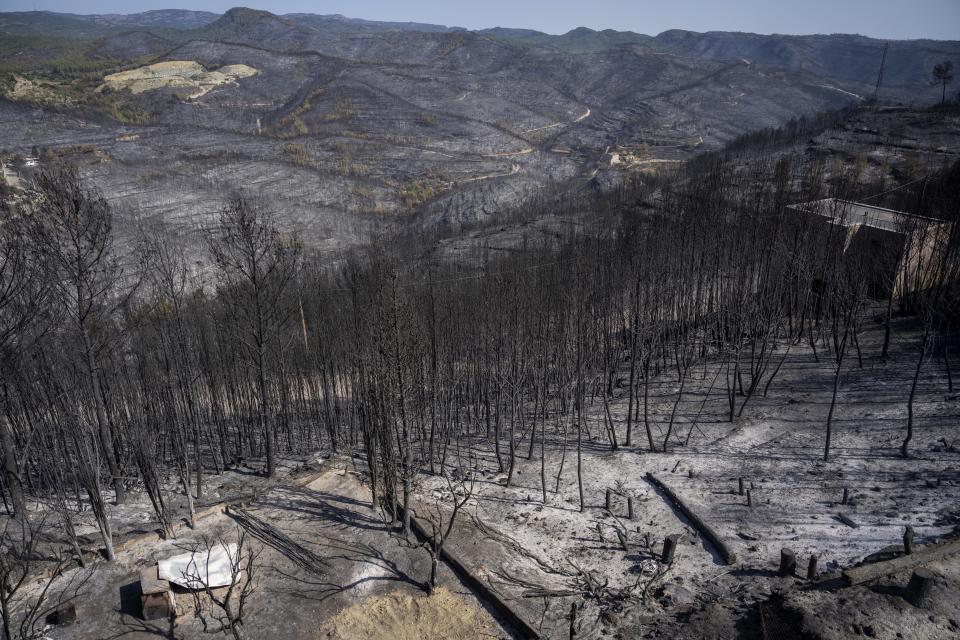 FILE - Charred trees stand after a wildfire near the town of El Pont de Vilomara, Spain, July 19, 2022. Spain suffered the biggest losses from wildfires of any European Union country last year amid a record-hot 2022. (AP Photo/Emilio Morenatti, File)