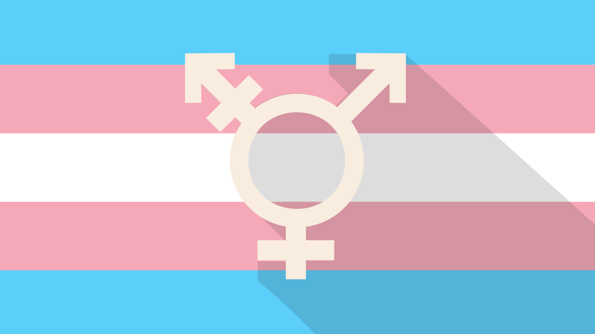 What Is A Terf And Why Are They Dangerous To The Transgender Community 