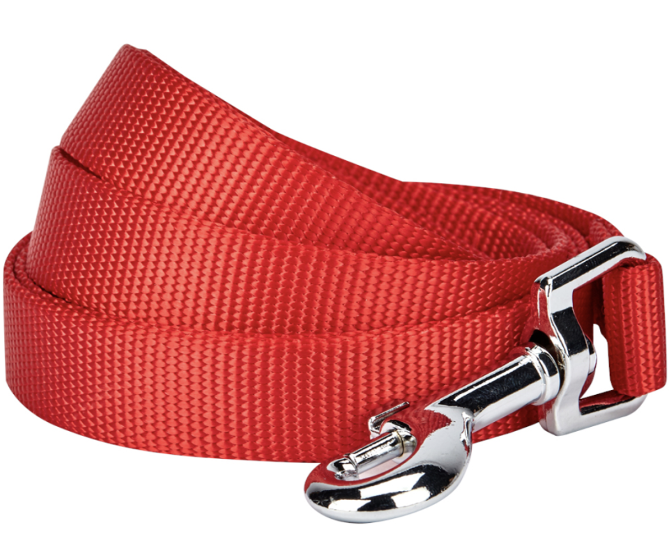 Blueberry Pet Durable Classic Nylon Dog Leash (Photo: Walmart) 