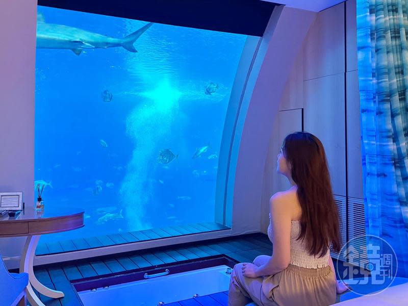 奇幻的海底房「逸濠海底套房」（Equarius Ocean Suites）僅有11間，十分搶手。
