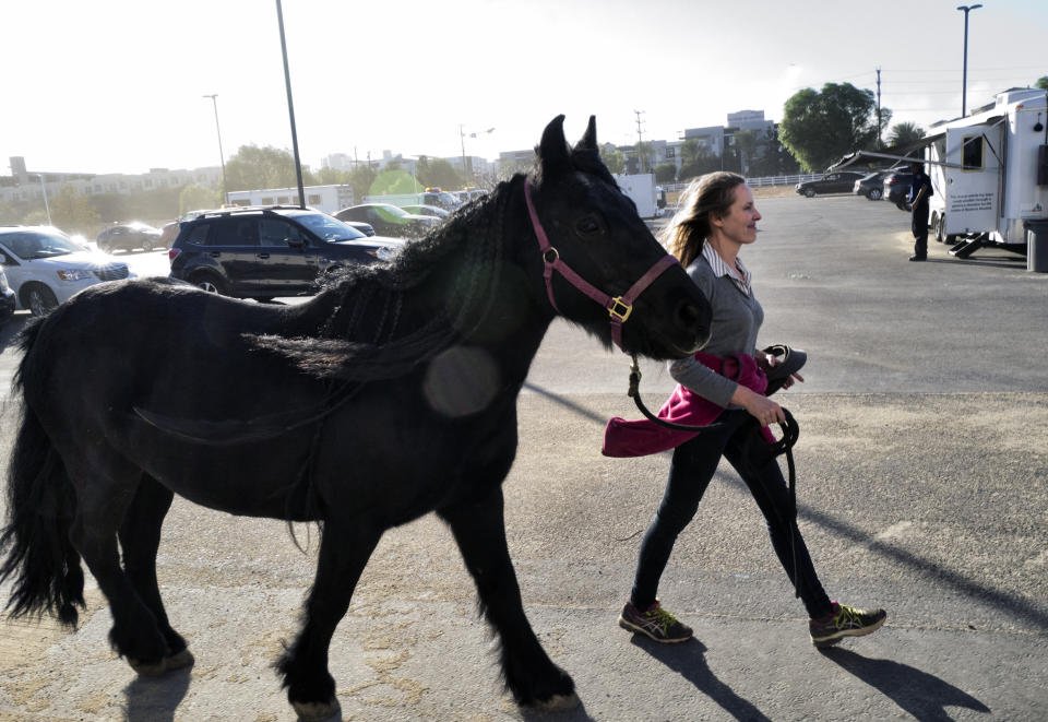 <p>Wildfire evacuee Eva Loeffler walks with her 20 year-old pony Mini at the Pierce College Equine Center where evacuees are bringing their large and small animals in the Woodland Hills section of Los Angeles on Nov. 9, 2018. A wind-driven wildfire raged through Southern California communities on Friday, burning homes and forcing thousands of people to flee as it relentlessly pushed toward Malibu and the Pacific Ocean. (Photo: Richard Vogel/AP) </p>