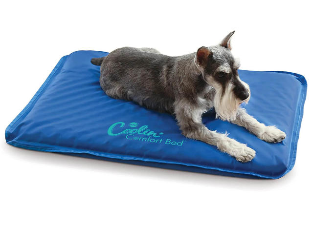 Organic Dog Bed by Avocado - Large/ X-Large - Mailman Blue