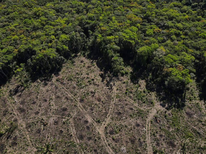 An aerial view shows a deforested plot of the Amazon rainforest in Manaus