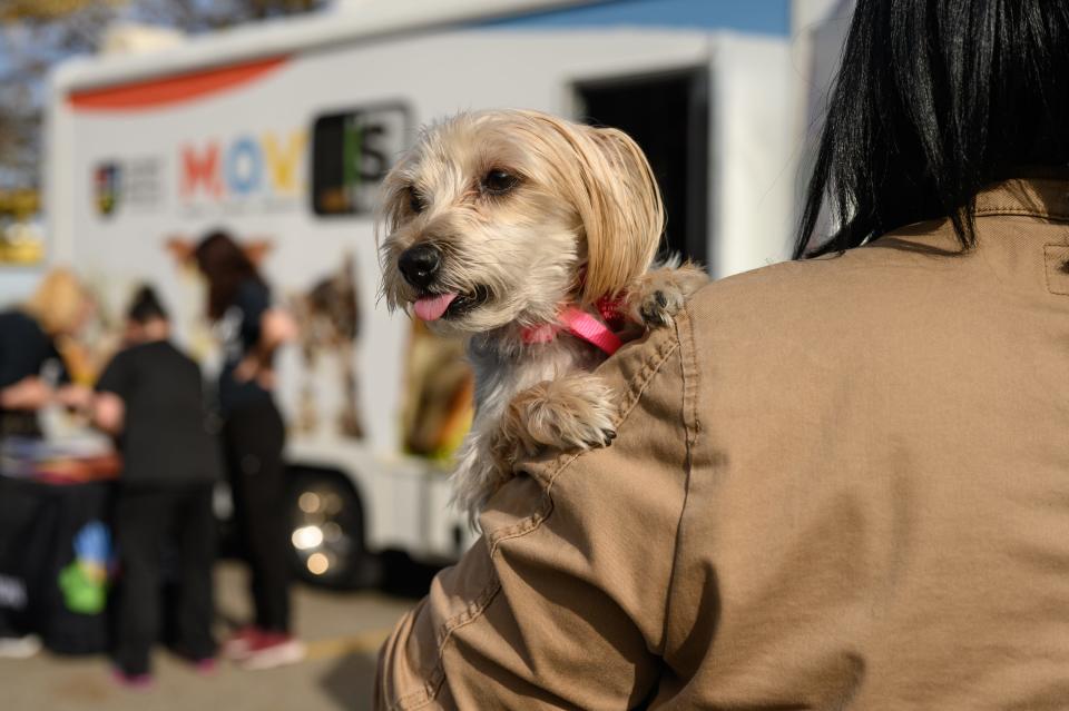 A woman holds her dog at a new pilot program that uses veterinary and primary care mobile clinics to treat people and pets on Oct. 26 in Pittsburgh.