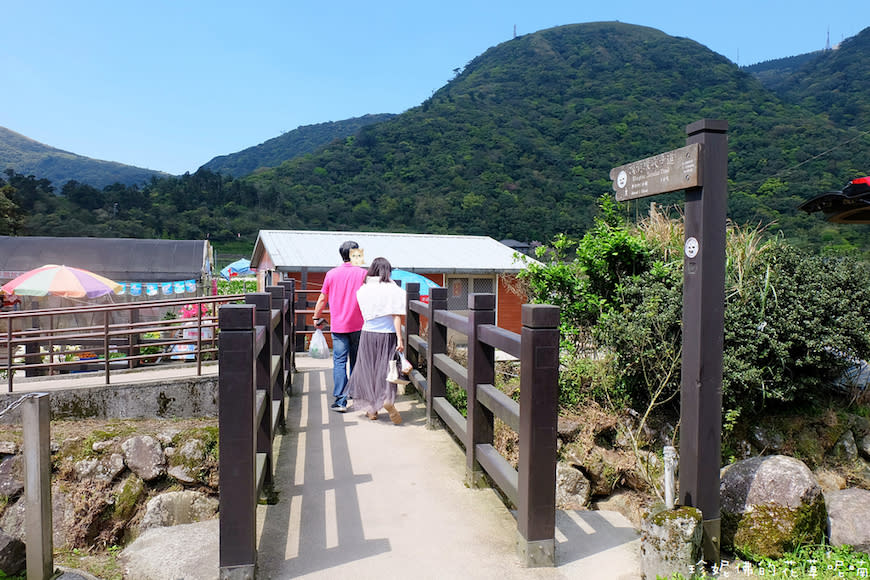 陽明山｜頂湖環狀步道、花谷海芋園