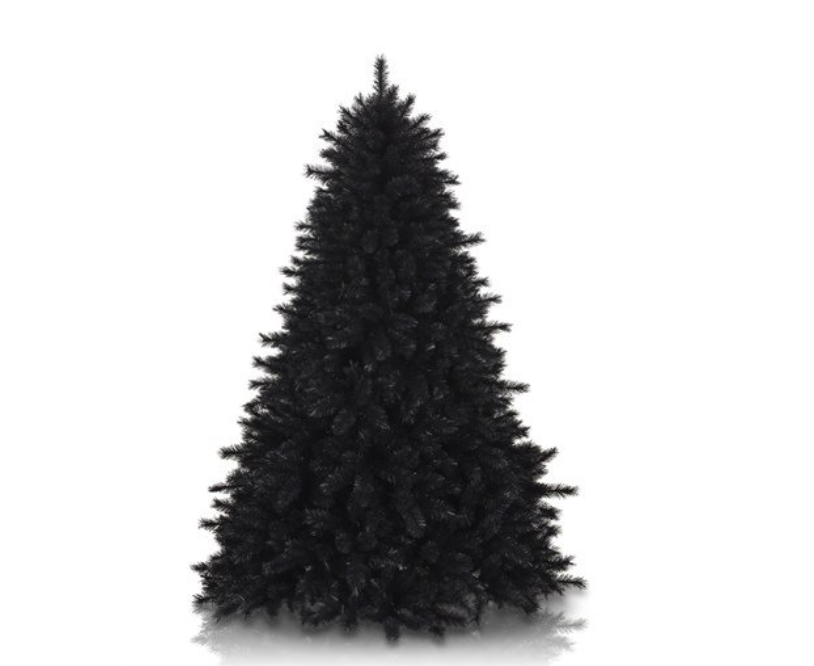3) 6' Pitch Black Pine Tree