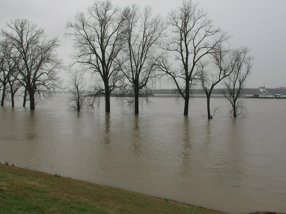 A barge cruises past a low-lying park flooded by the swollen Mississippi River on Friday, Feb. 22, 2019 in Memphis, Tenn. Located on Memphis' Mud Island, Greenbelt Park (pictured) floods when the Mississippi River reaches high levels. (AP Photo/Adrian Sainz).